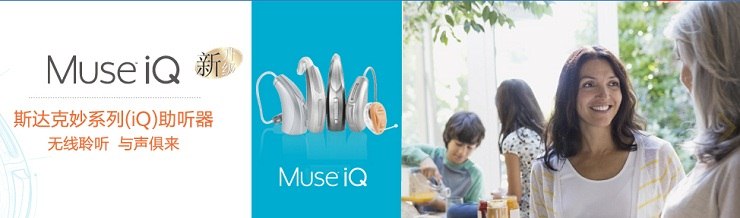 ITE 耳内式助听器